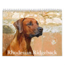 Suche nach rhodesian ridgeback geschenke Haustier