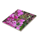 Suche nach hummel fliesen Rosa