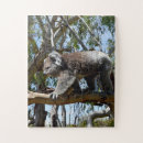 Suche nach koala puzzle Tier