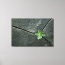 Suche nach gebrochen leinwandbilder Niemand