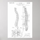 Recherche de modèle anatomique posters Médical