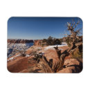 Recherche de rude magnets Nature