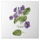 Suche nach veilchen fliesen Blumenreich