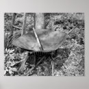 Recherche de outils de jardin posters Nature