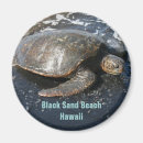 Suche nach schwarzer sand magnete Hawaii