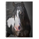 Recherche de color photography Animals