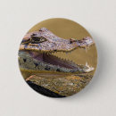 Suche nach krokodil buttons Wasser