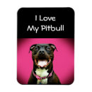 Suche nach pitbull magnete Pittie