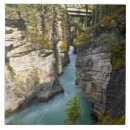 Recherche de parcs carreaux Rivière