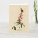 Suche nach lithographie karten Vogel