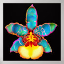 Suche nach fantasie poster Blumen