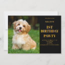 Recherche de de de chien anniversaire invitations Dogs