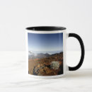 Recherche de pele tasses Haleakala