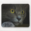 Suche nach die katzenaugen mousepads Flüstern