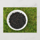 Recherche de cassis cartes postales Groseilles