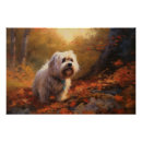 Suche nach tibetische poster Hund