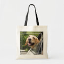 Recherche de golden retriever accessoires Puppy