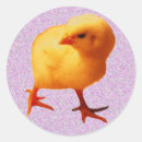 Suche nach kicker aufkleber Huhn