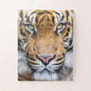 Recherche de cat puzzles Jungle