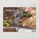 Recherche de mendiants cartes postales Mignon