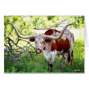 Suche nach ranching postkarten Western