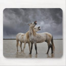 Recherche de etalon tapis souris Cheval