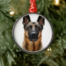 Recherche de berger allemand ornements Animal
