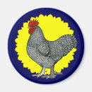 Suche nach rooster magnete Huhn