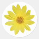 Suche nach abgeschieden aufkleber Blume