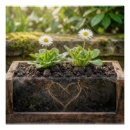 Recherche de marguerite blanche posters Fleurs