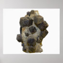 Suche nach naturwissenschaft poster Nah up view