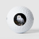 Suche nach vogelvogel golfbälle Eule
