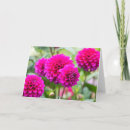 Suche nach gardine karten Blume