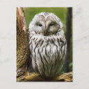 Suche nach schnabel postkarten Schwarz