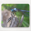 Recherche de mouche tapis souris Nature