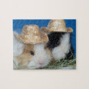 Suche nach meerschweinchen puzzle Cavy