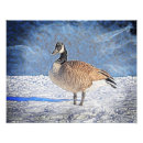 Suche nach wilde gans poster Wild lebende tiere