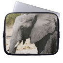 Suche nach säugetiere laptop schutzhüllen Afrika