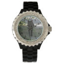 Recherche de minou montres Animal