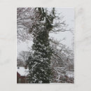 Suche nach schneebedeckte bäume postkarten Baum