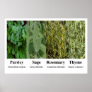 Suche nach petersilie poster Rosmarin