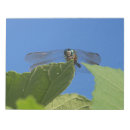 Suche nach libellen notizblock Blau