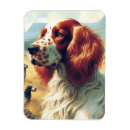 Recherche de setter magnets Dog