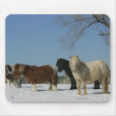Recherche de cheval miniature tapis souris Position