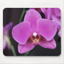 Suche nach phalaenopsis mousepads Orchideen
