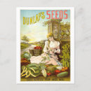 Recherche de légumes cartes postales Fruit