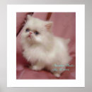 Suche nach twinkle twinkle little star poster Niedlich