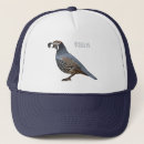 Recherche de caille casquettes Oiseau