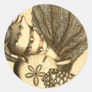 Recherche de algues autocollants Dollar de sable