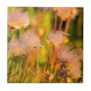 Suche nach rauch fliesen Nationalpark